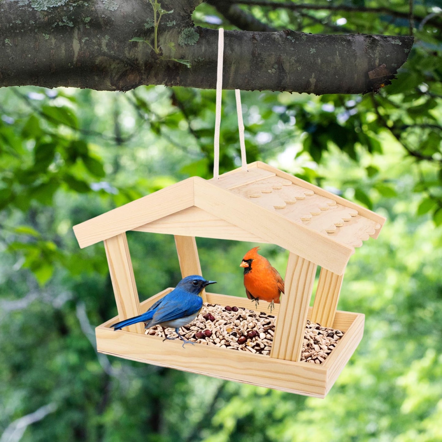 Dmnnlp Bird Feeders House, 10x6.3x7.8 Inch Wooden Wild Bird Feeders for Cardinals Finches Bluebird Mealworm, Platform Bird House Feeder for Garden Yard Outside Hanging, Unfinished Wood