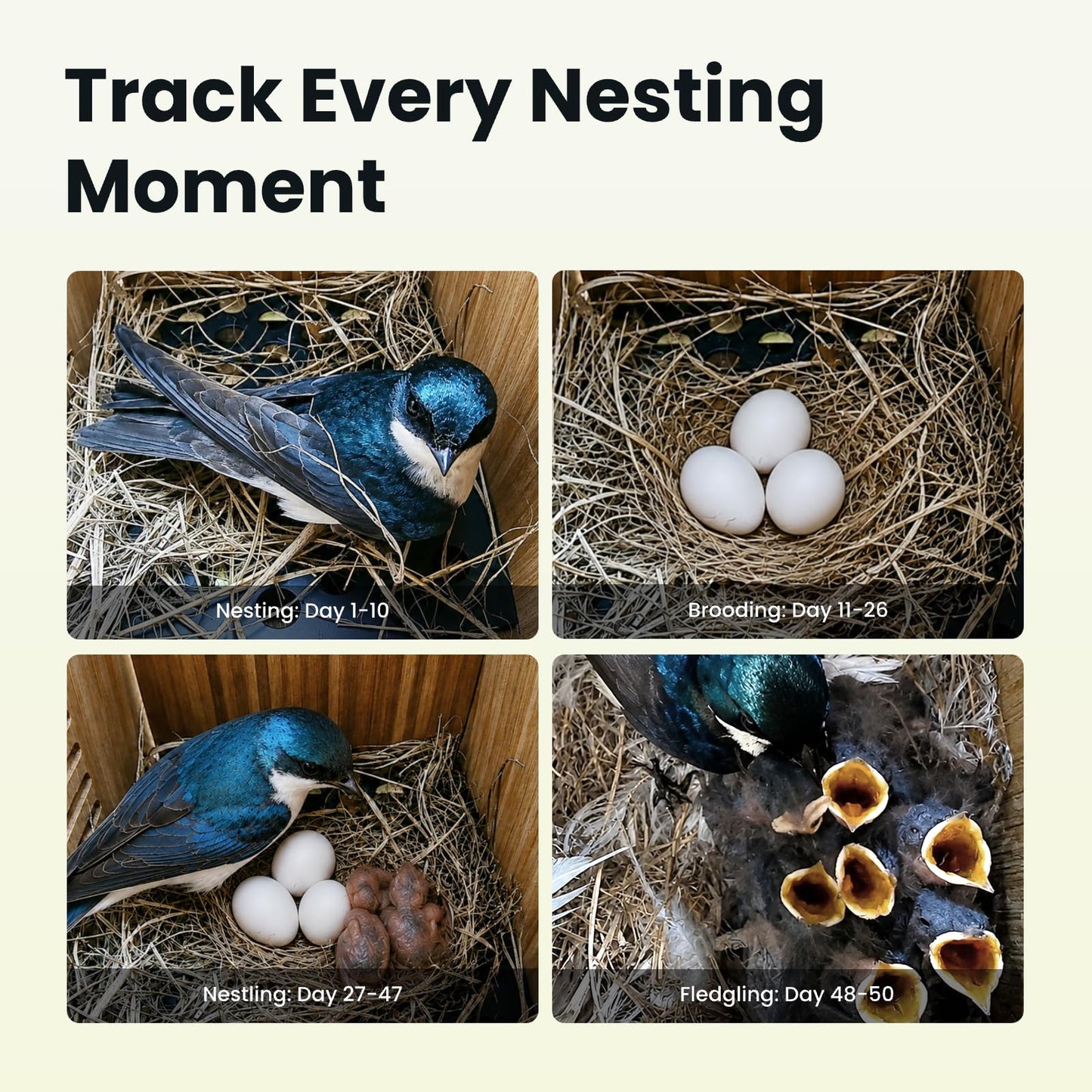 Birdfy Bird House with Camera Solar Powered with Metal Cladding for Outside, Bird Box with AI Bird ID, 1080P FHD & Night Vision for Bird Nest Watching, Auto Detect & Notify, Ideal Gift for Bird Lovers