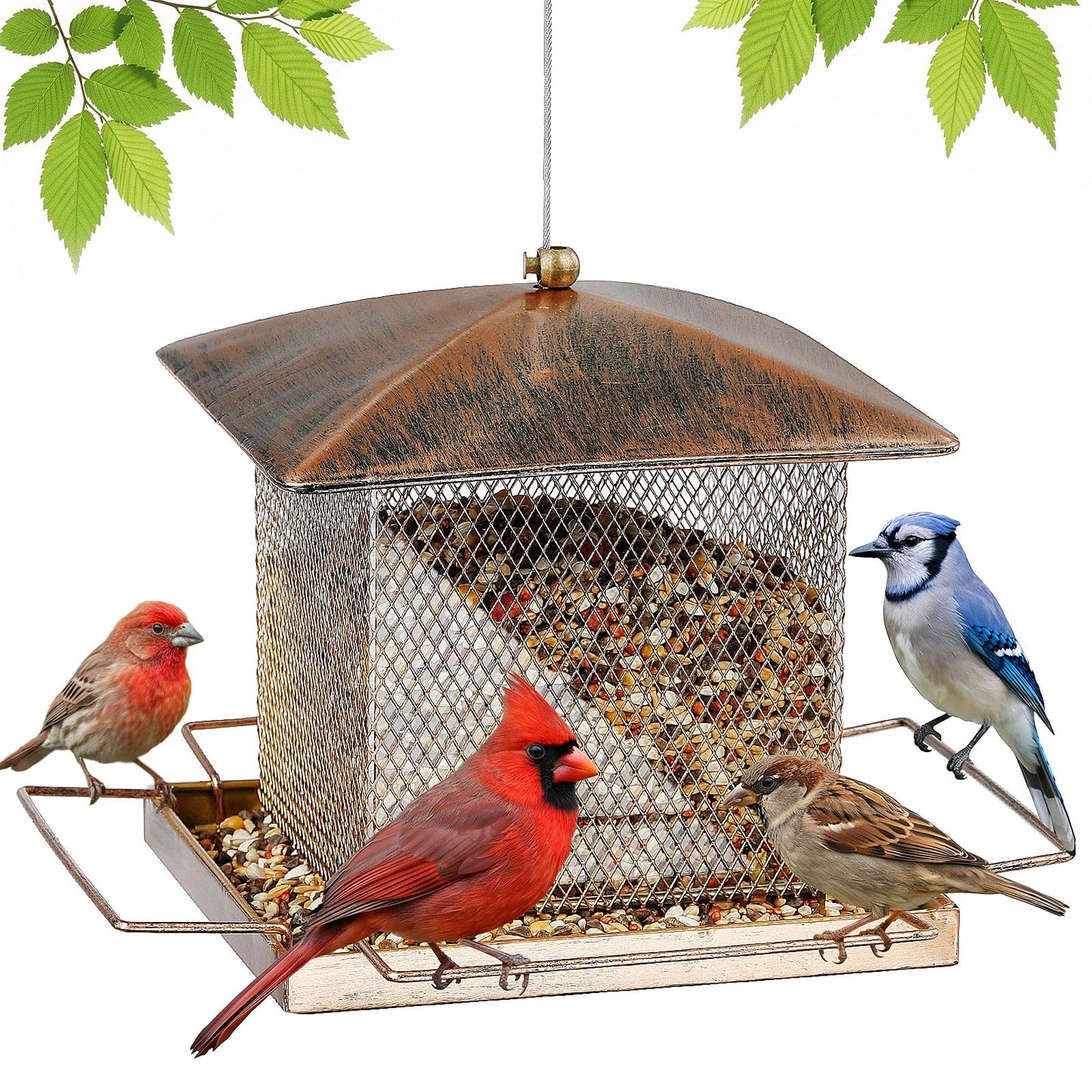 IWNTWY Bird Feeder, Heavy Duty Metal Bird Feeders for Outdoor Hanging, Waterproof Wild Birdfeeder for Garden Yard Outside Backyard, 3.5LB Large Capacity