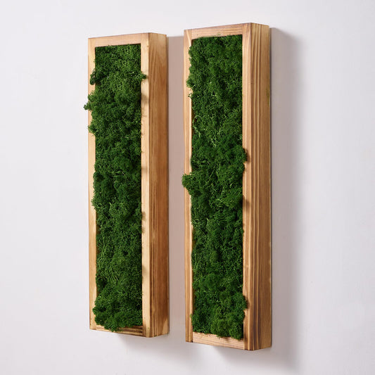 Mokof 2 Pack Moss Wall Art | 17.3-inch Vertical Wood Frame | Forest Green