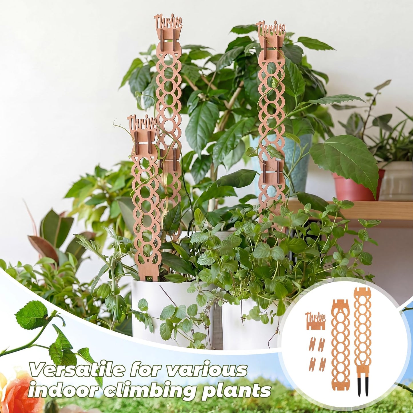 Otoolling 6 Sets Wooden Extendable Plants Trellis Indoor Modular Plant Trellis with Wood Thrive Sign Decor and Extensions for Outdoor Climbing Houseplants Vine Flower Stem (Ring)
