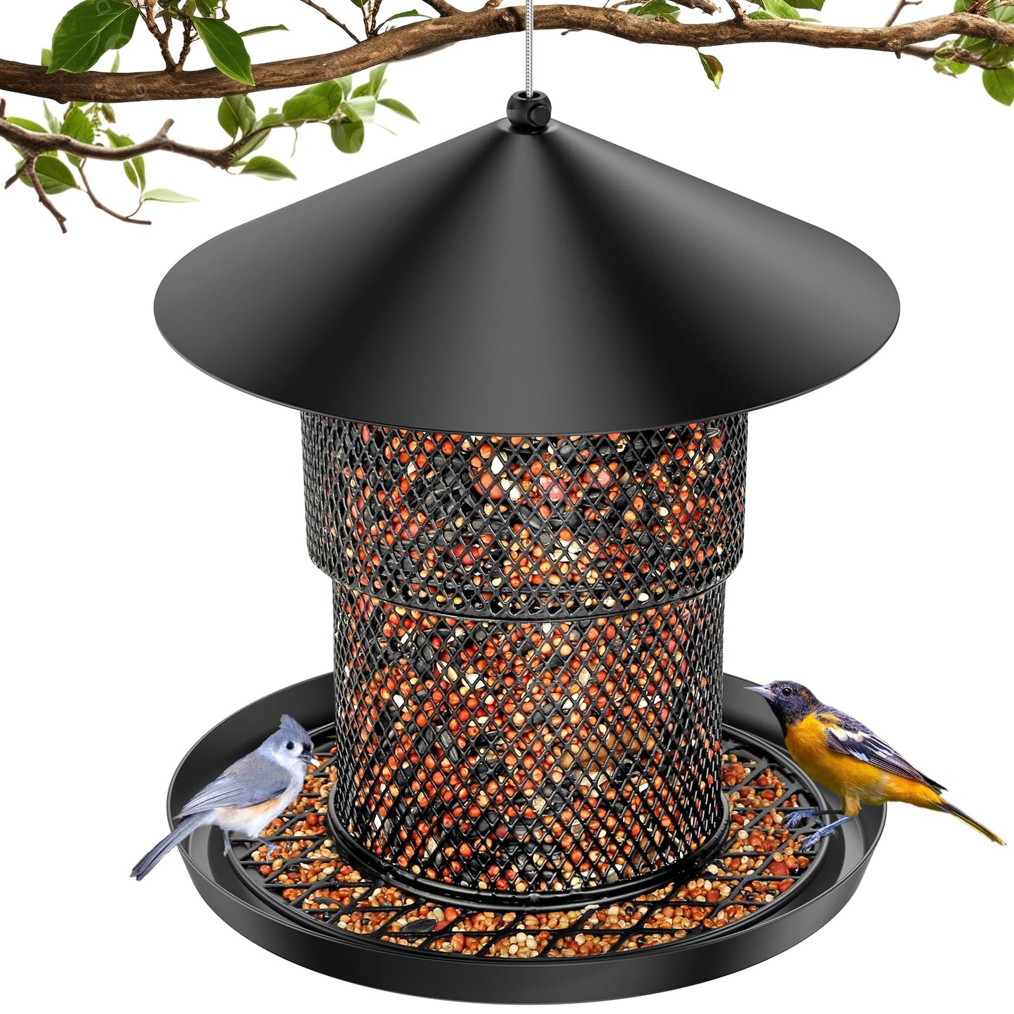 Bird Feeder for Outdoor Hanging, No Mess No Spill and Squirrel Proof Feeder