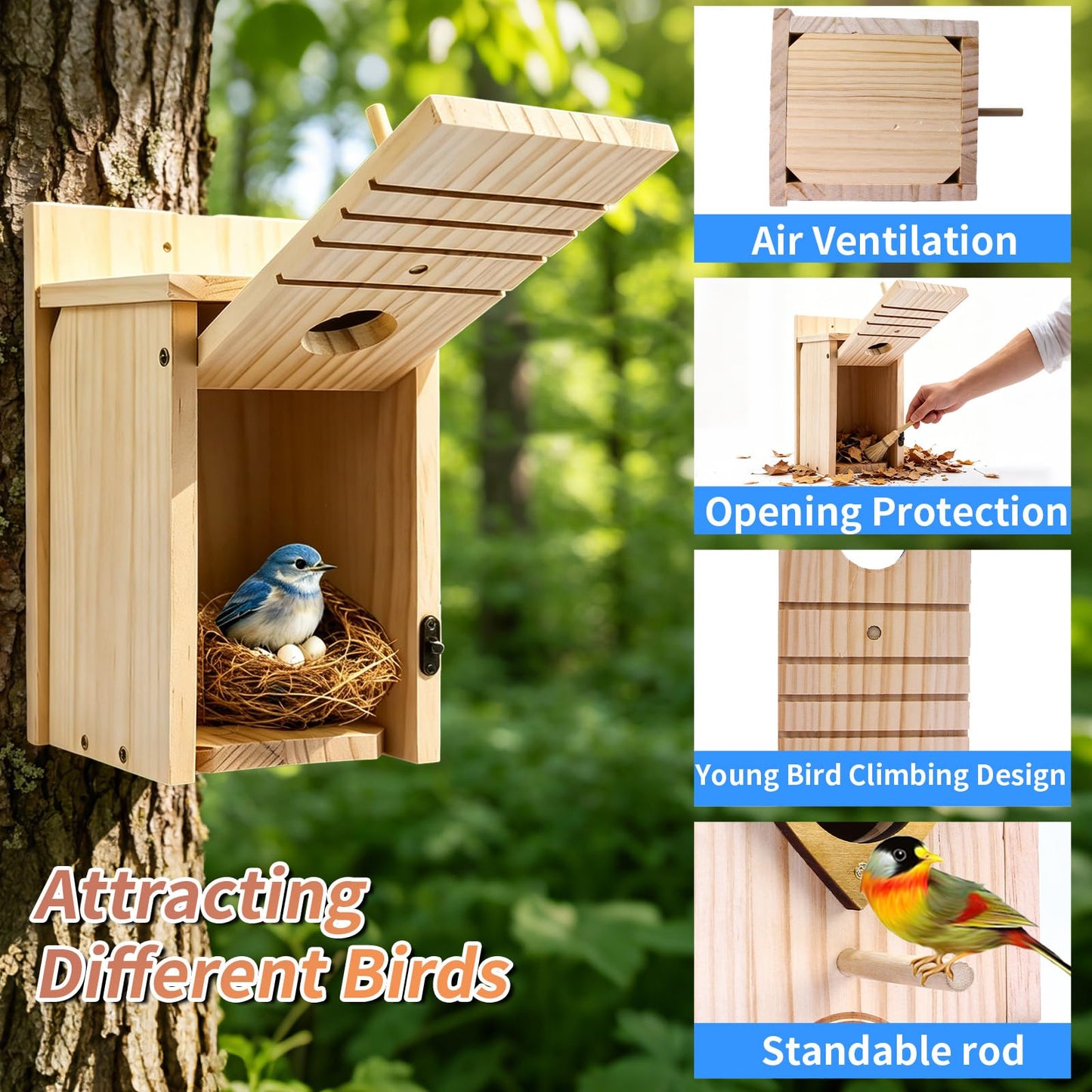 SORNADELUVRIX 2 PCS Bird Houses for Outside, Predator Proof Bluebird Houses Hanging, Wooden Bird Houses for Outdoors, Bird House Kits for Adults & Kids with Perch & Nesting Material