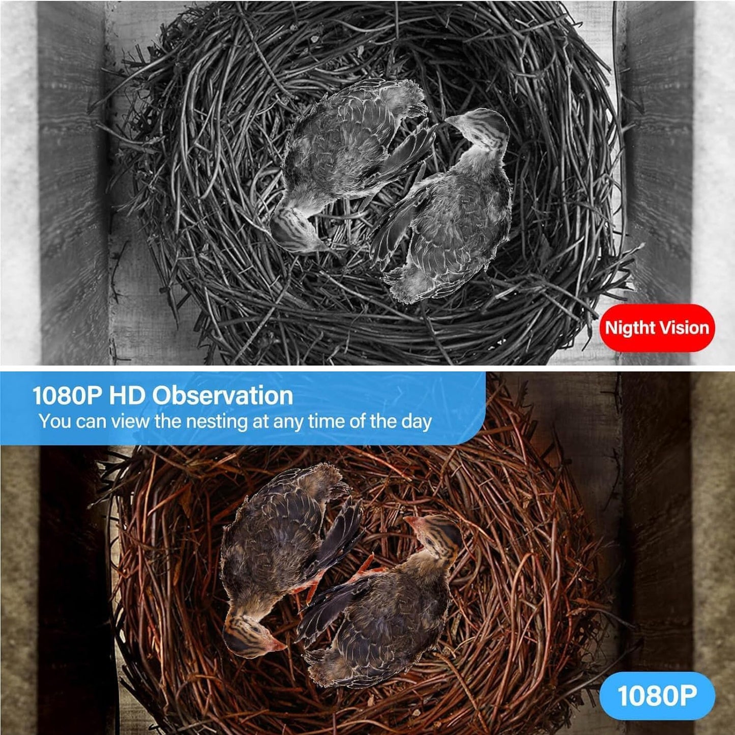 Smart Bird House with Camera, 1080p HD 2.4G WiFi Outdoor Bird Box. Features Auto Capture Bird Video & Motion Detection, Night Vision, App Alerts and Serves as a Bird Nesting Box (Dark, Normal)