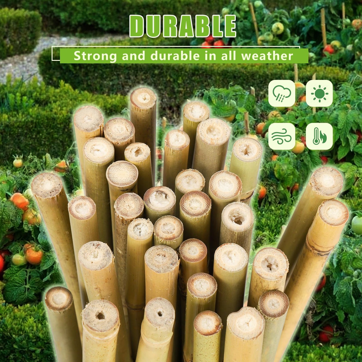 Gardgue Natural Bamboo Poles, 2 Feet Bamboo Sticks for Plants, Wood Garden Stakes for Tomato, Bean, Flowers, Trees Potted and Climbing Plants, 25 Pack