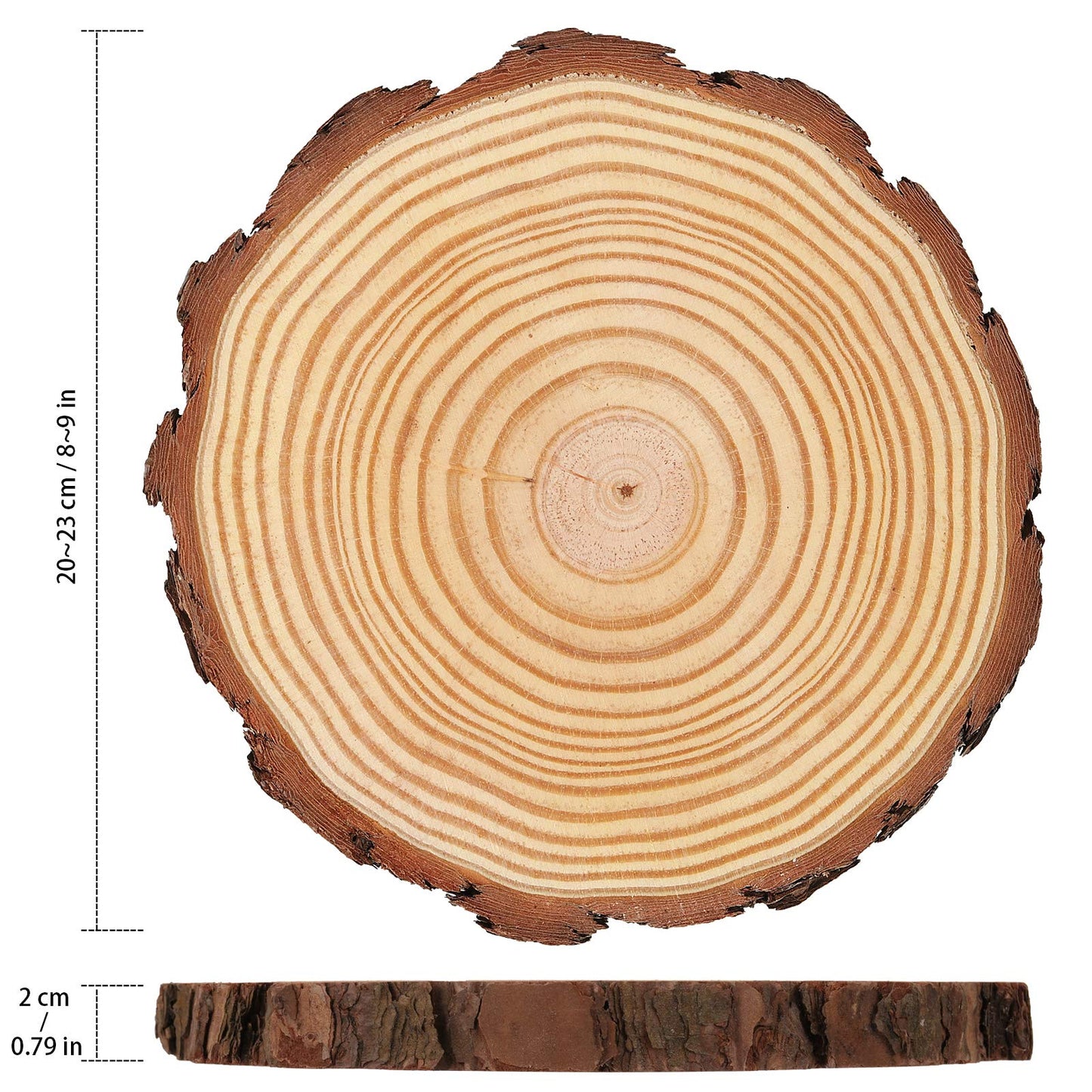 HOZEON 8 PCS 8-9 Inches Natural Wood Slices, Smooth Rustic Unfinished Wood Slices, Wood Slices for Crafts, Arts, Wedding Decoration, Christmas, Ornaments, DIY Crafts
