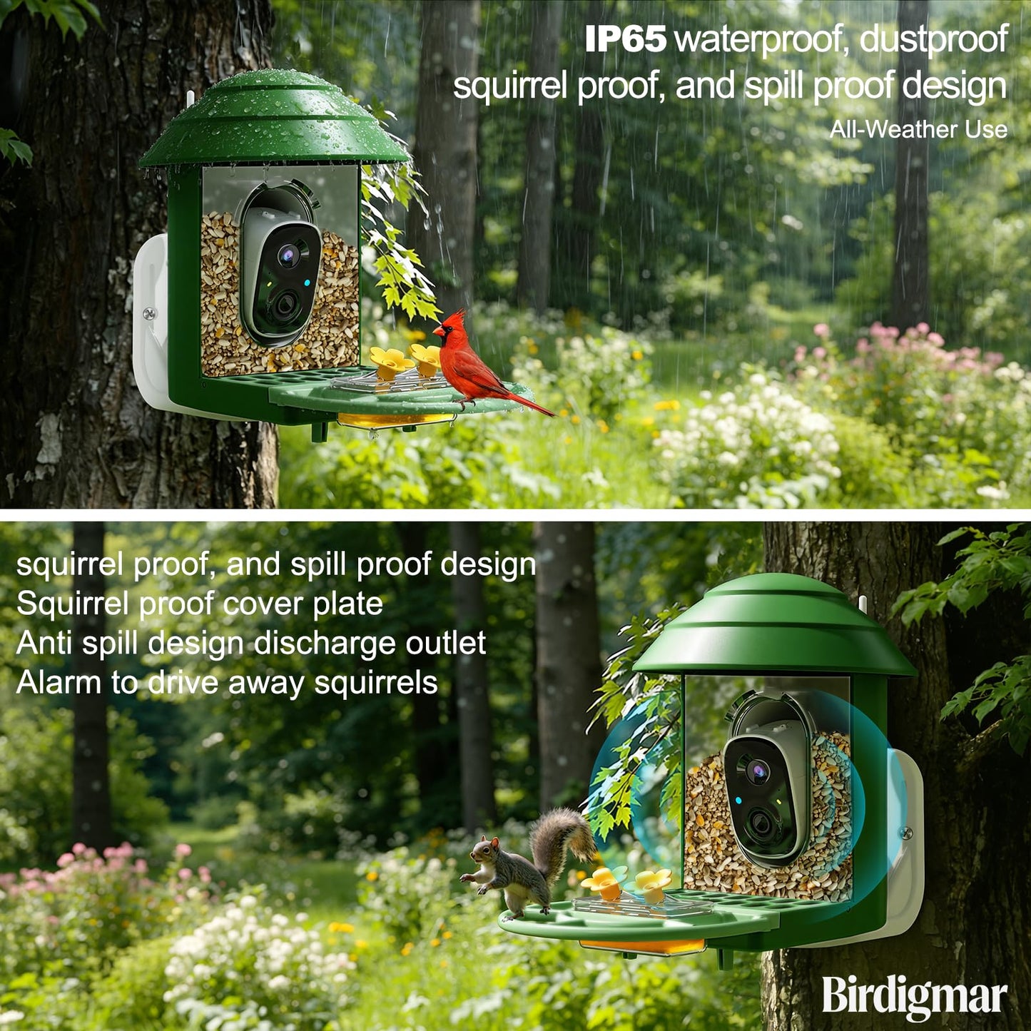 Birdigmar Bird Feeder with Camera,2.4G/5G Dual Band WiFi Smart Solar Power, AI Identification & 2.5K Ultra HD Video,Wireless Outdoor Bird Watching Feeder,Weatherproof, ldeal Gift for Bird Lovers,Green
