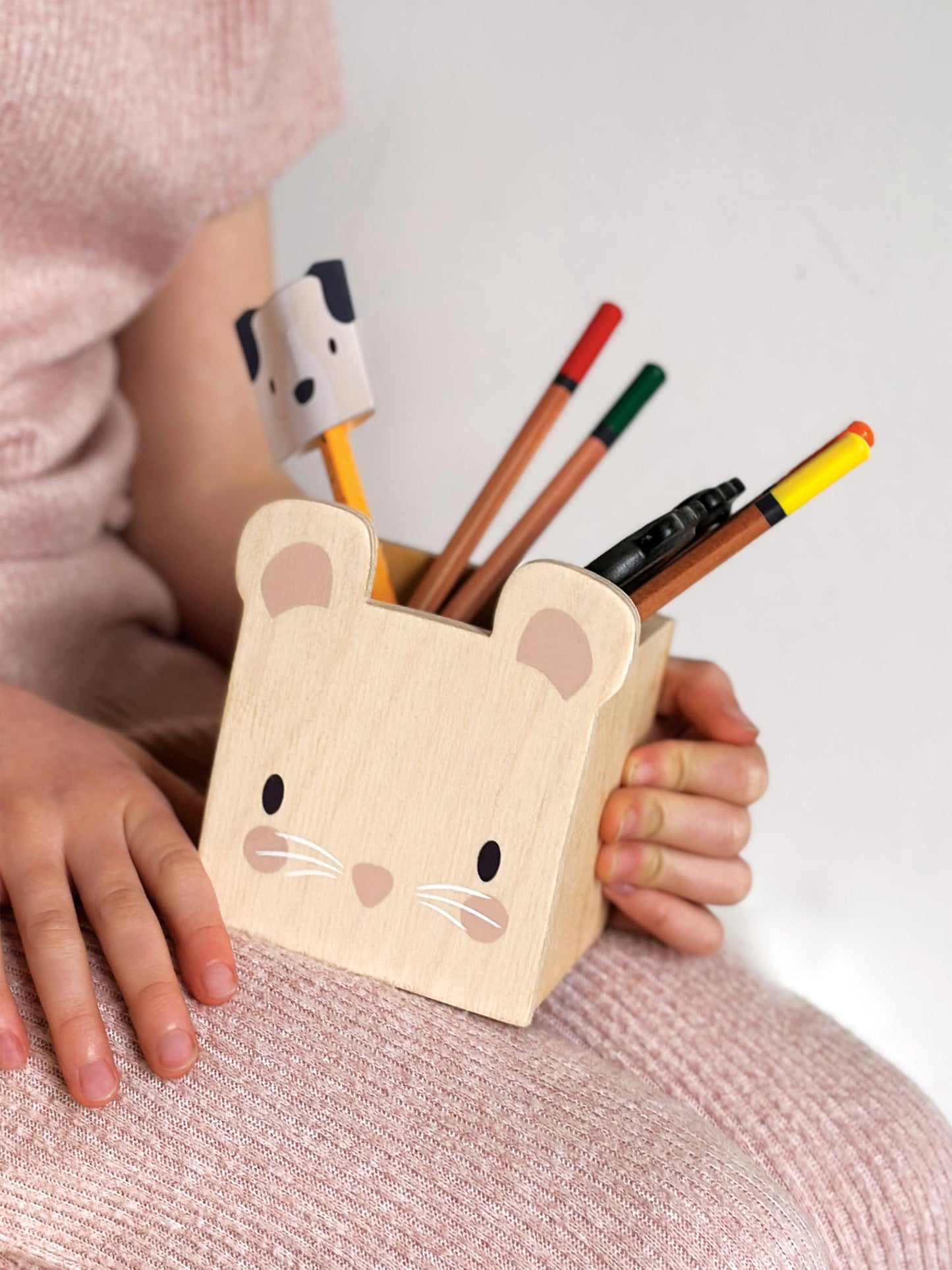 Tender Leaf Toys - Pet Pencil Holders - 3 Animal Themed Wood Desktop Organizers - Fun and Practical Storage for Pens/Pencils/Make-up/Stationary - Gender Neutral Décor Organisation for Kids - Age 3+