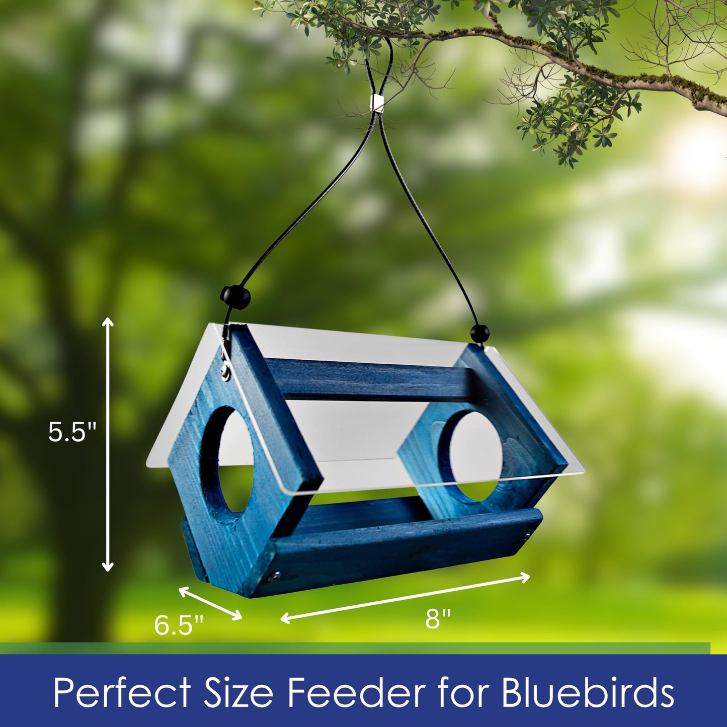 Backyard Essentials Petite Bluebird Feeder with Plexiglass Roof and Powder Coated Steel Mesh Basket Bird Feeder Tray