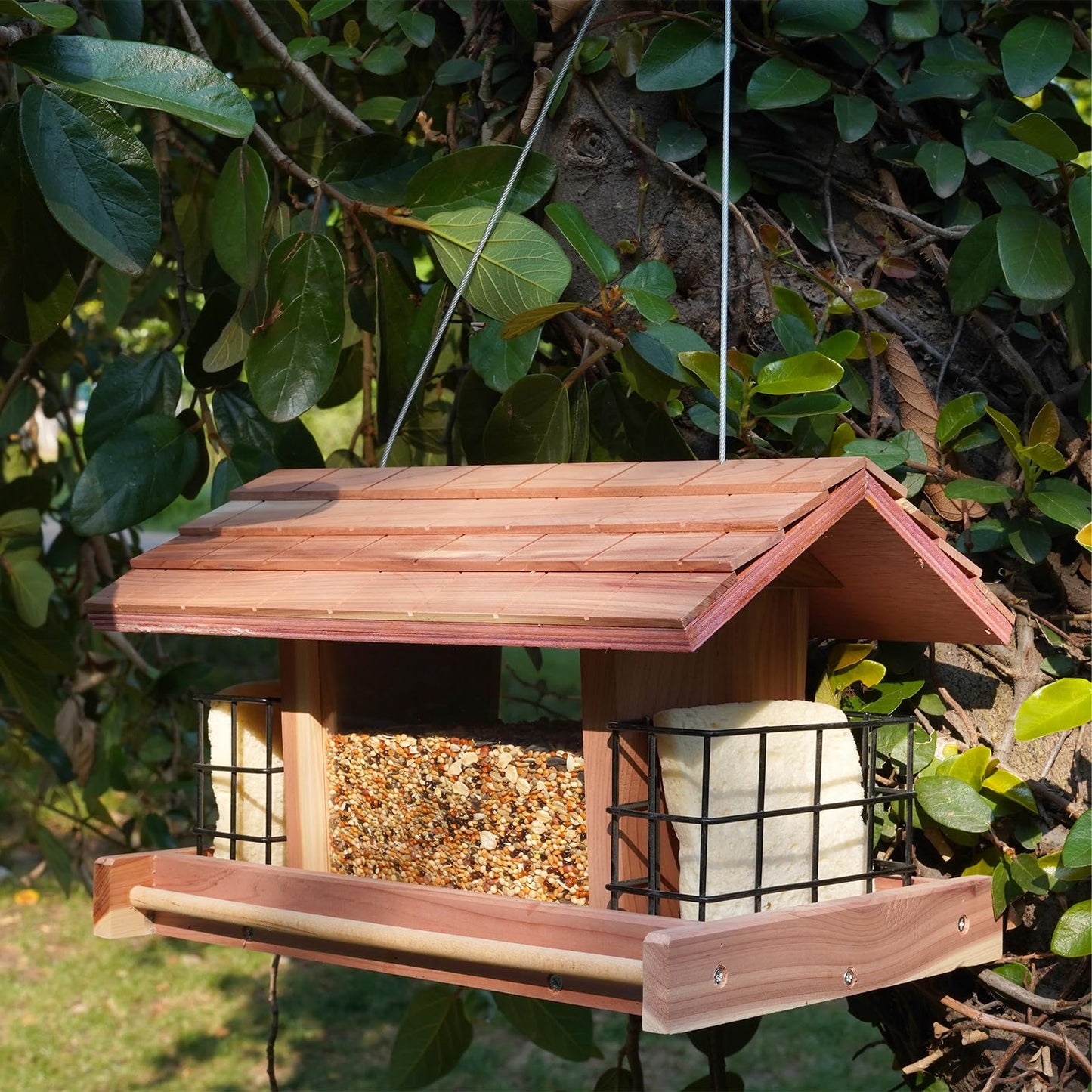 Liawm Wooden Bird Feeder for Outdoors Hanging Mount Large Capacity, Red Cedar Garden Roof Feeder with 2 Suet Cages, Cardinal Bluebird Birdfeeder for Garden Decoration Yard, Weatherproof Durable