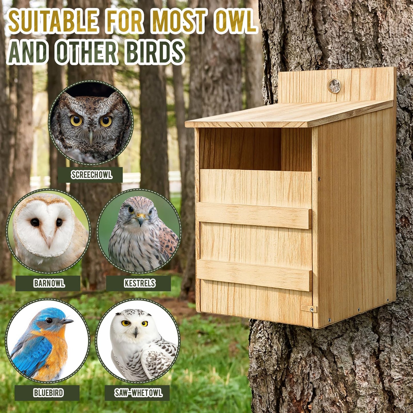 AceOrbit 2 Pack Large Squirrel House Screech Owl Nesting Box Kit for Outside 15.4 x 10.5 x 9'' Carbonized Wooden Bird House Opening Easy Assemble Easter Shelter Gift with Water Bowl Wood Shavings Tool