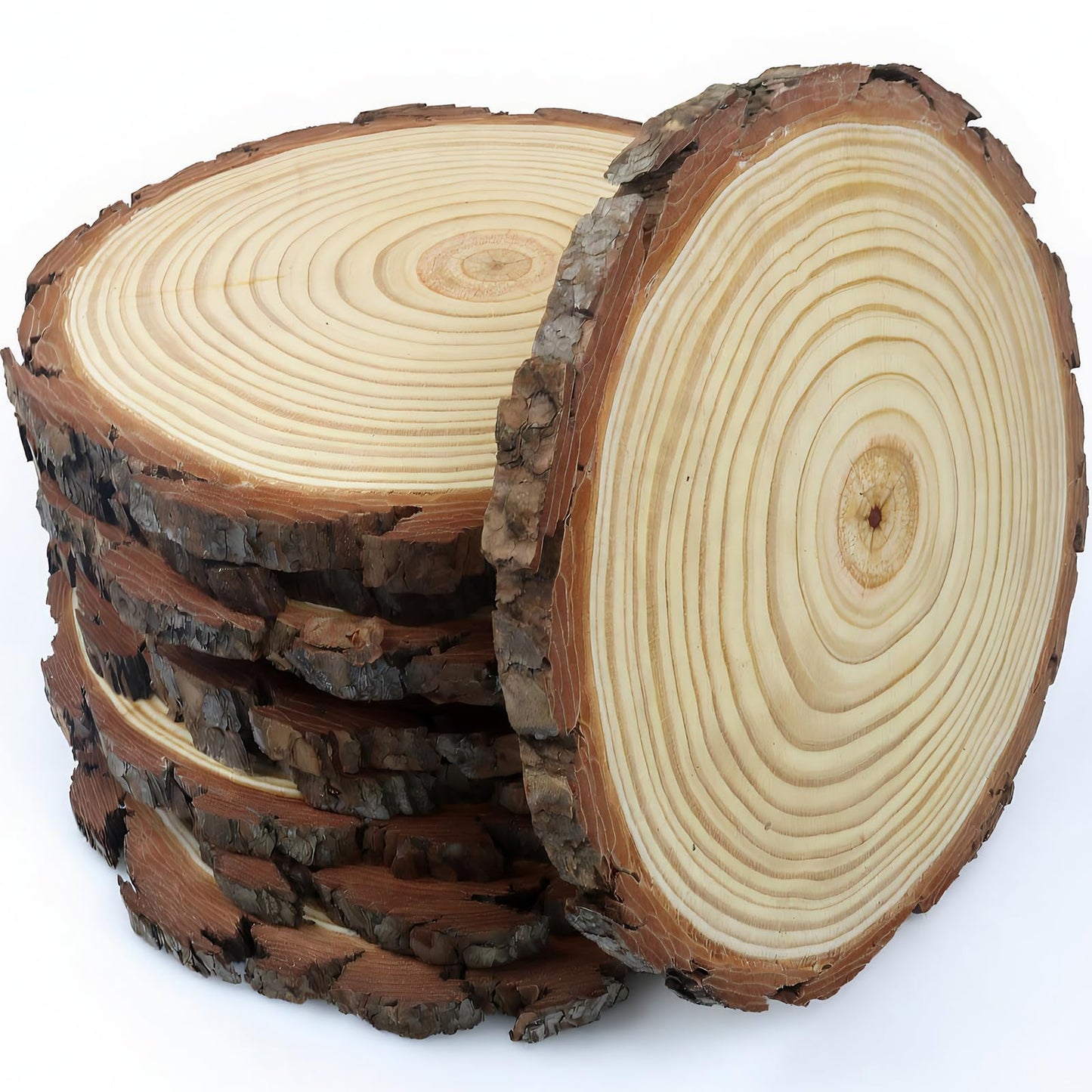 Large Wood Slices for Centerpieces, Natural Rustic Wooden Rounds, 9-10 Inch, Set of 10, Wedding Event Table Decor