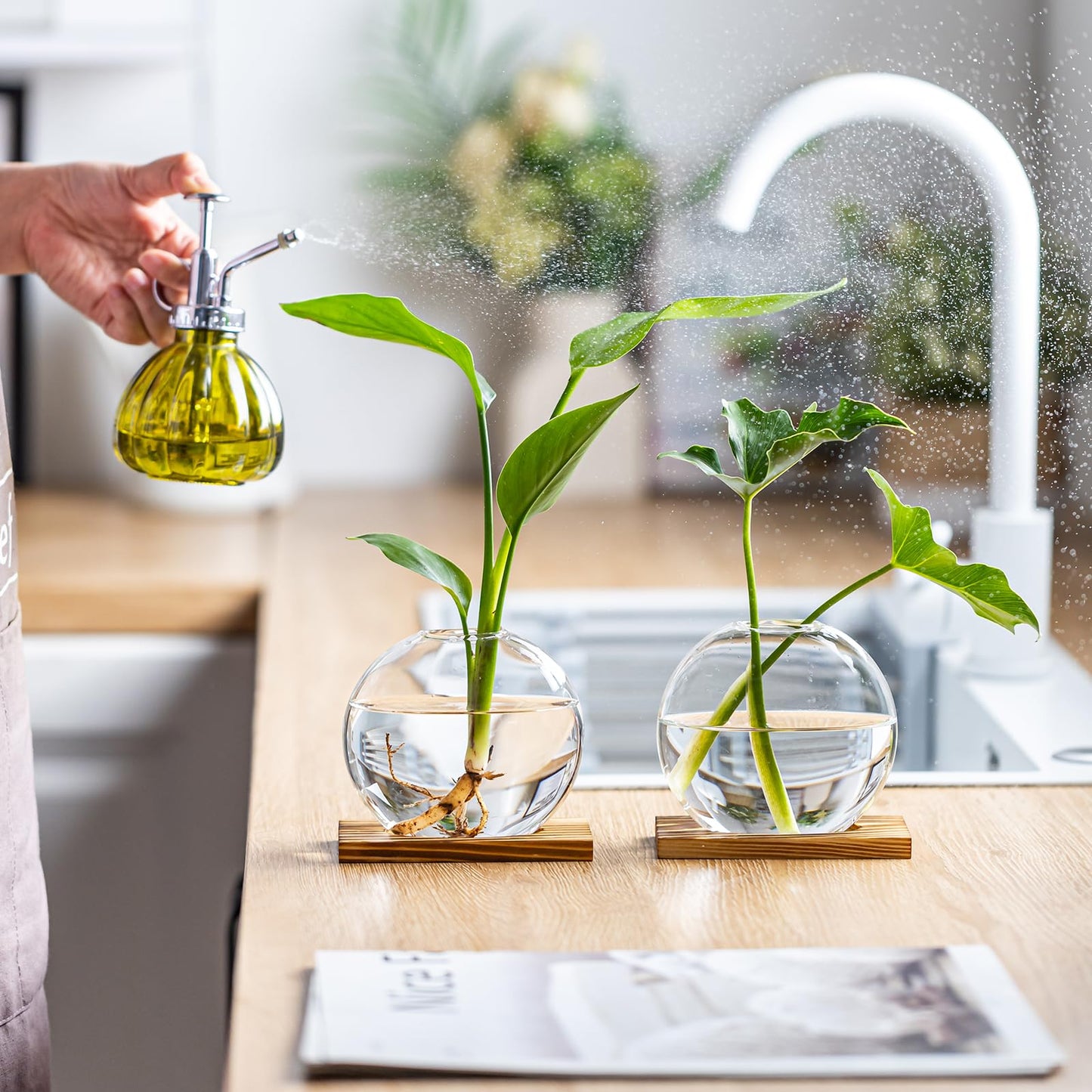 wangsdjy Glass Planter Propagation Station with Wooden Base - Clear Oblate Hydroponic Vase, Decorative Desktop Flower Vase for Home, Office, Windowsill - Gift for Plant Lovers (6)