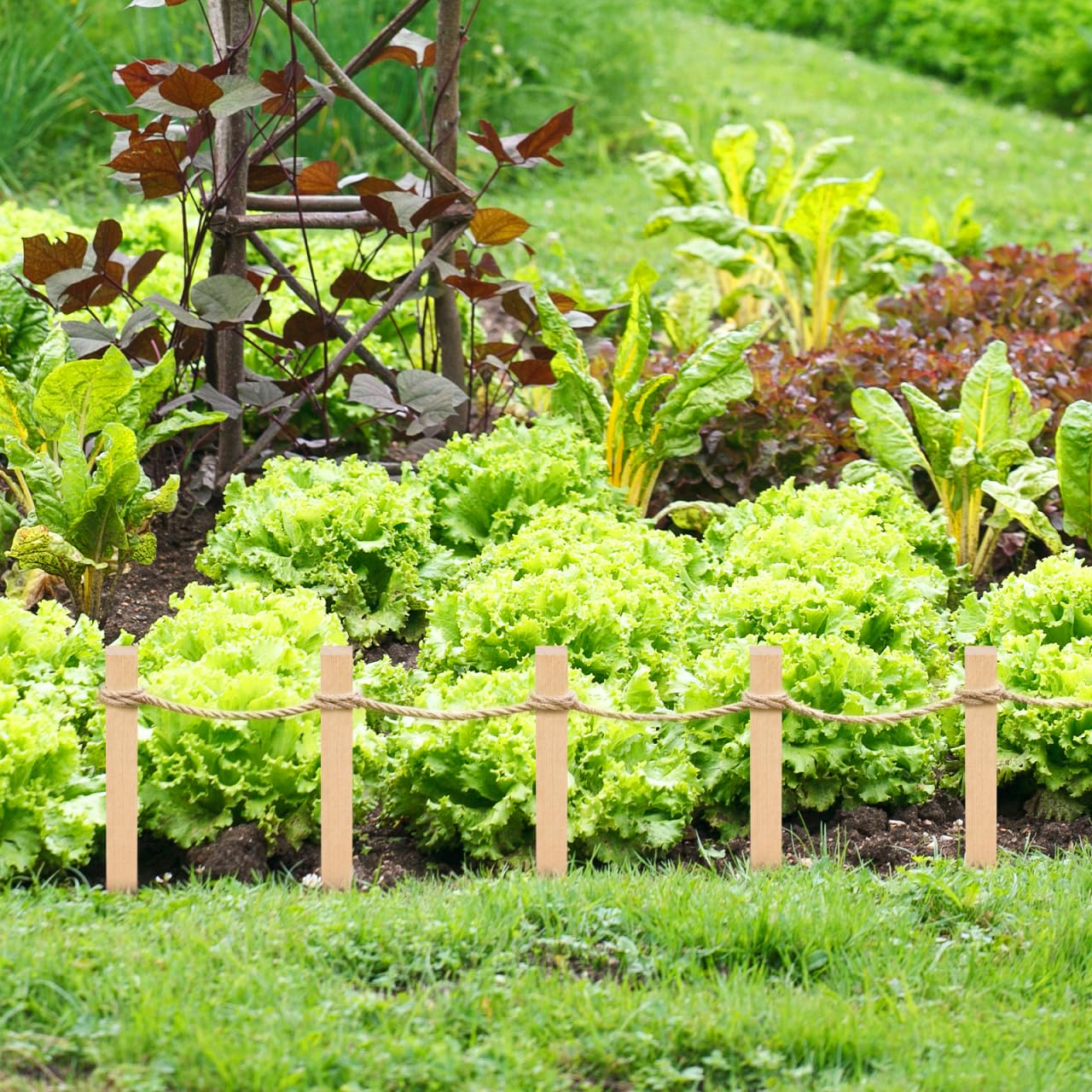 Yardwe 5Pcs Wooden Garden Stakes, 12 Inch Grade and Survey Stakes for Building and Lawn Fence Decoration, Garden Sign Posts for Plant Support and Outdoor Use
