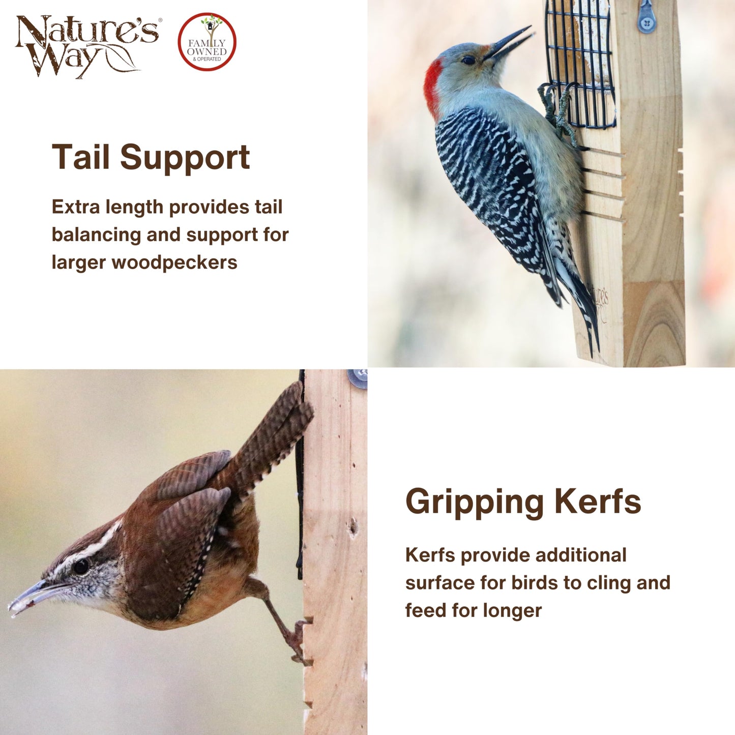 Nature's Way Bird Products CWF1 Tail-prop Suet Bird Feeder 12"H x 7.875"L x 3"W, Brown