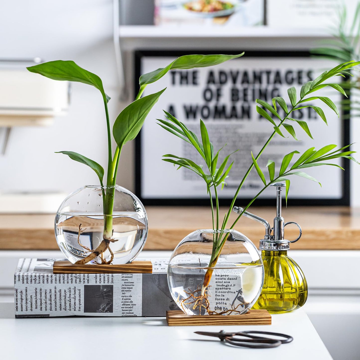 wangsdjy Glass Planter Propagation Station with Wooden Base - Clear Oblate Hydroponic Vase, Decorative Desktop Flower Vase for Home, Office, Windowsill - Gift for Plant Lovers (6)