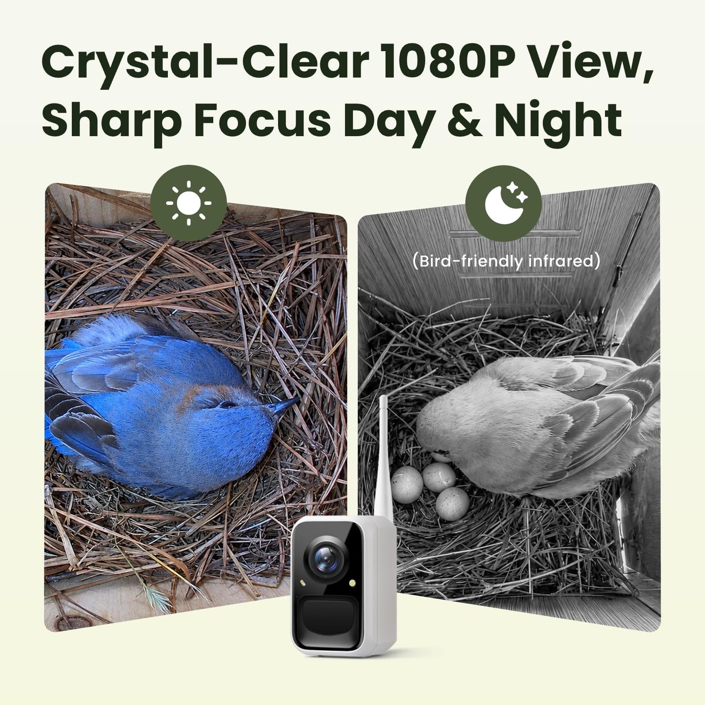 Birdfy Bird House with Camera Solar Powered with Metal Cladding for Outside, Bird Box with AI Bird ID, 1080P FHD & Night Vision for Bird Nest Watching, Auto Detect & Notify, Ideal Gift for Bird Lovers