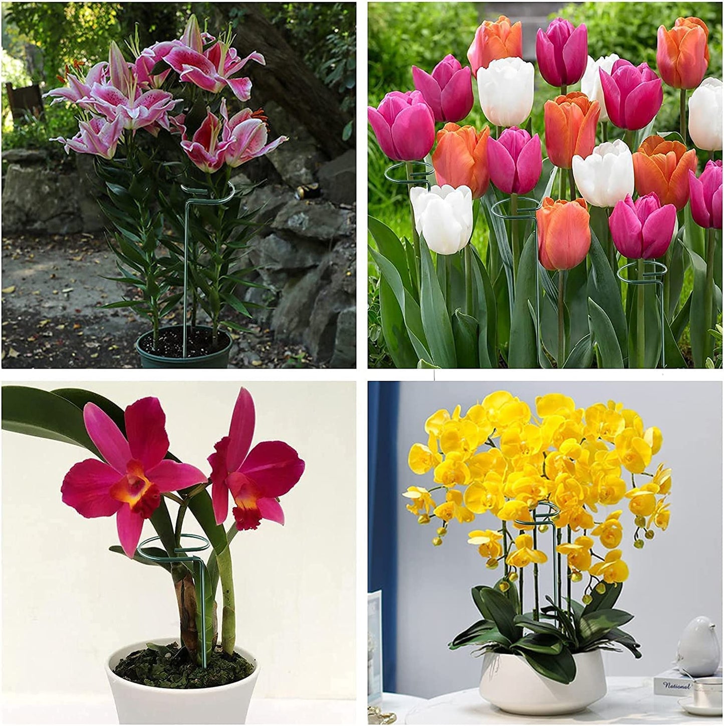 Joyhalo 20 Pack Plant Support Stakes 24 Inch, Plant Stakes, Flower Stakes with 24 Twist Ties, Garden Sticks for Plants Iris, Dahlia, Gladiolus, Amaryllis, Rose, Sunflower, Tomato, Sapling Etc