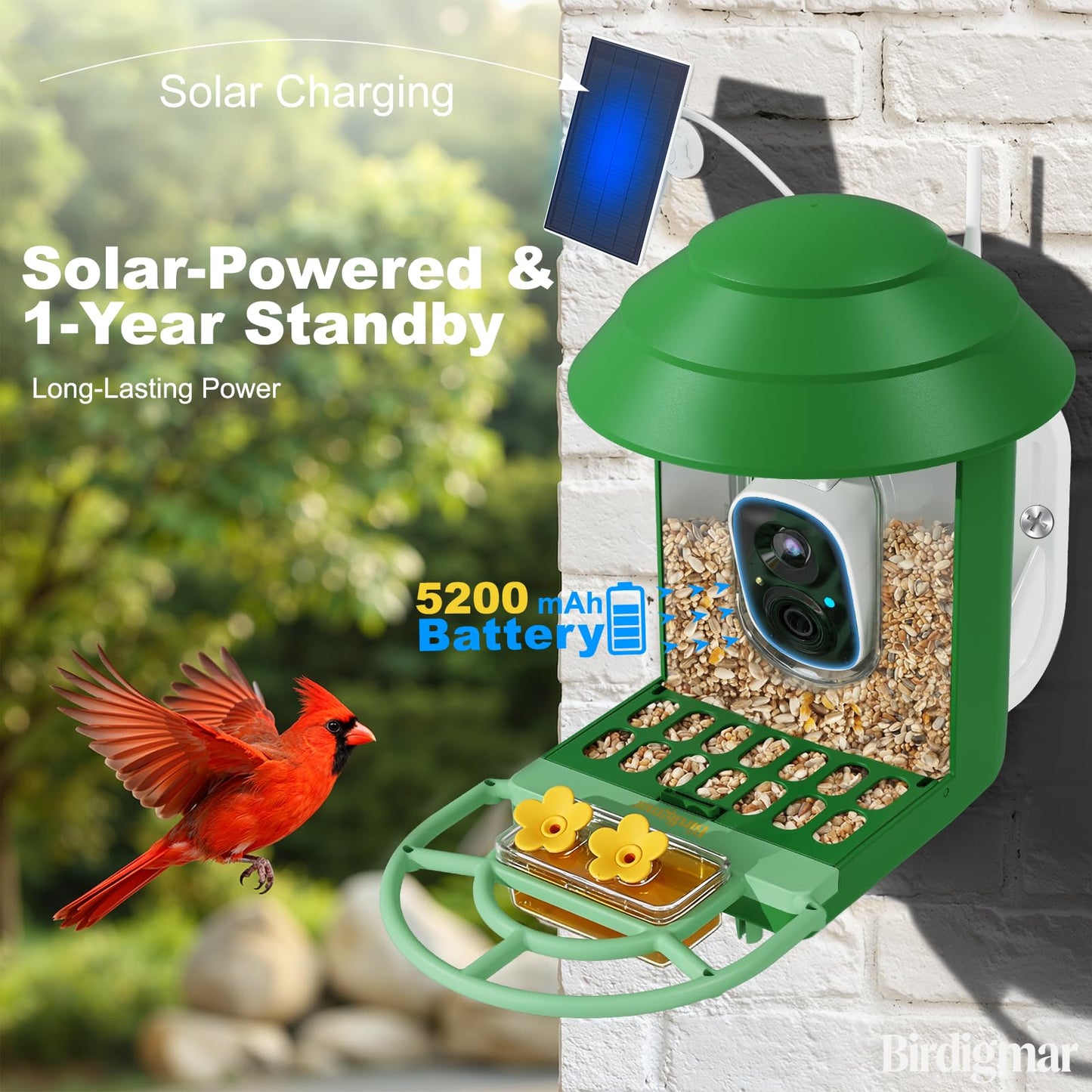 Birdigmar Bird Feeder with Camera,2.4G/5G Dual Band WiFi Smart Solar Power, AI Identification & 2.5K Ultra HD Video,Wireless Outdoor Bird Watching Feeder,Weatherproof, ldeal Gift for Bird Lovers,Green