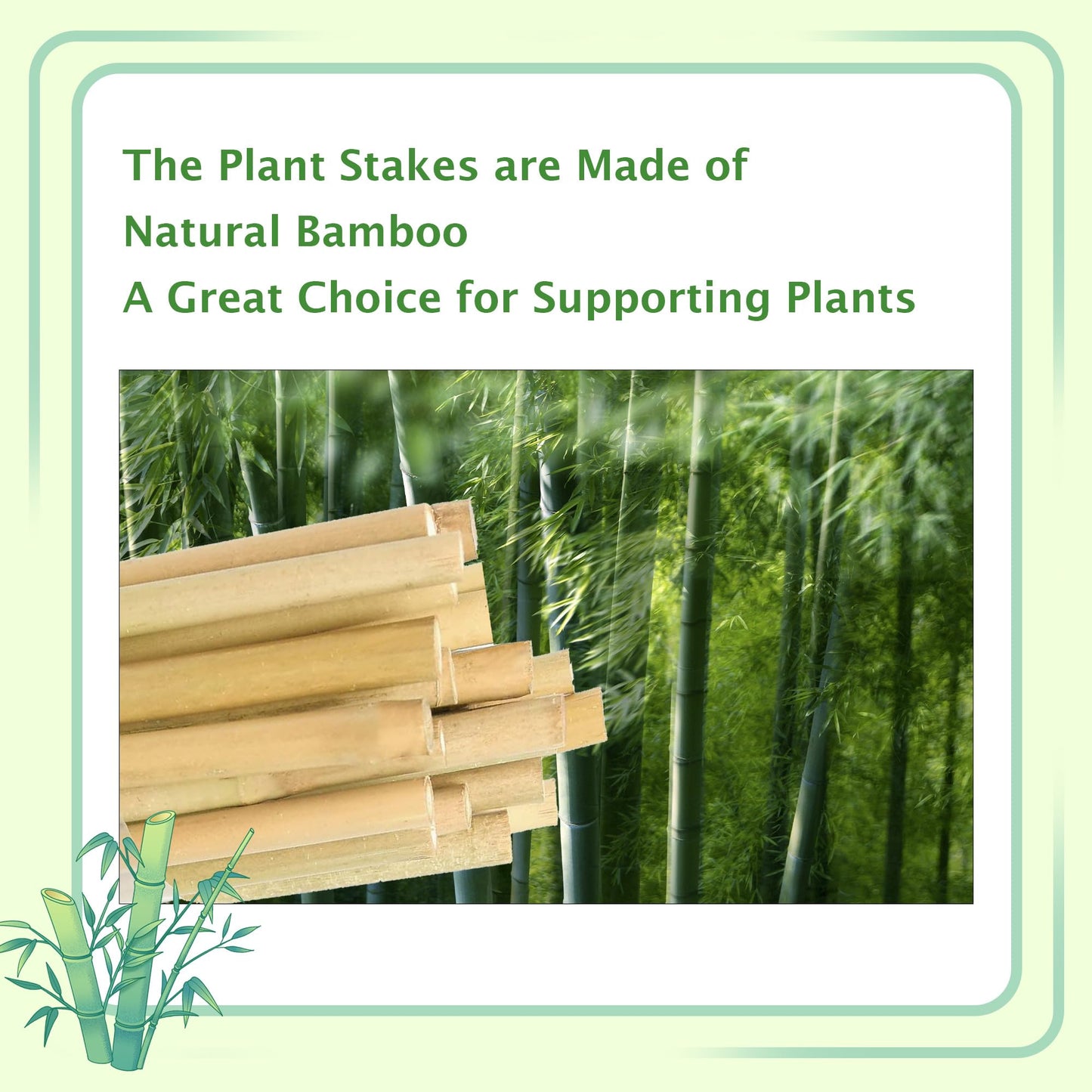 Garden Stakes 4ft, Natural Bamboo Stakes 4 Feet, Thicker Sturdy Plant Stakes 25 Pack for Tomatoes, Beans, Flowers, Potted and More Climbing Plants