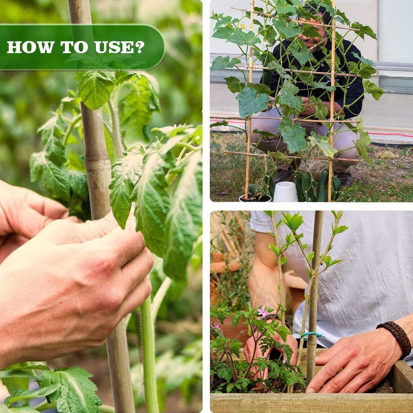 Jollybower 1/2" D 4 Feet Bamboo Stakes 50 Pack, Thicker Heavy-Duty Plant Stakes, Natural Garden Stakes for Bean, Tomato, Bean, Flowers,Trees Potted and Climbing Plant Support