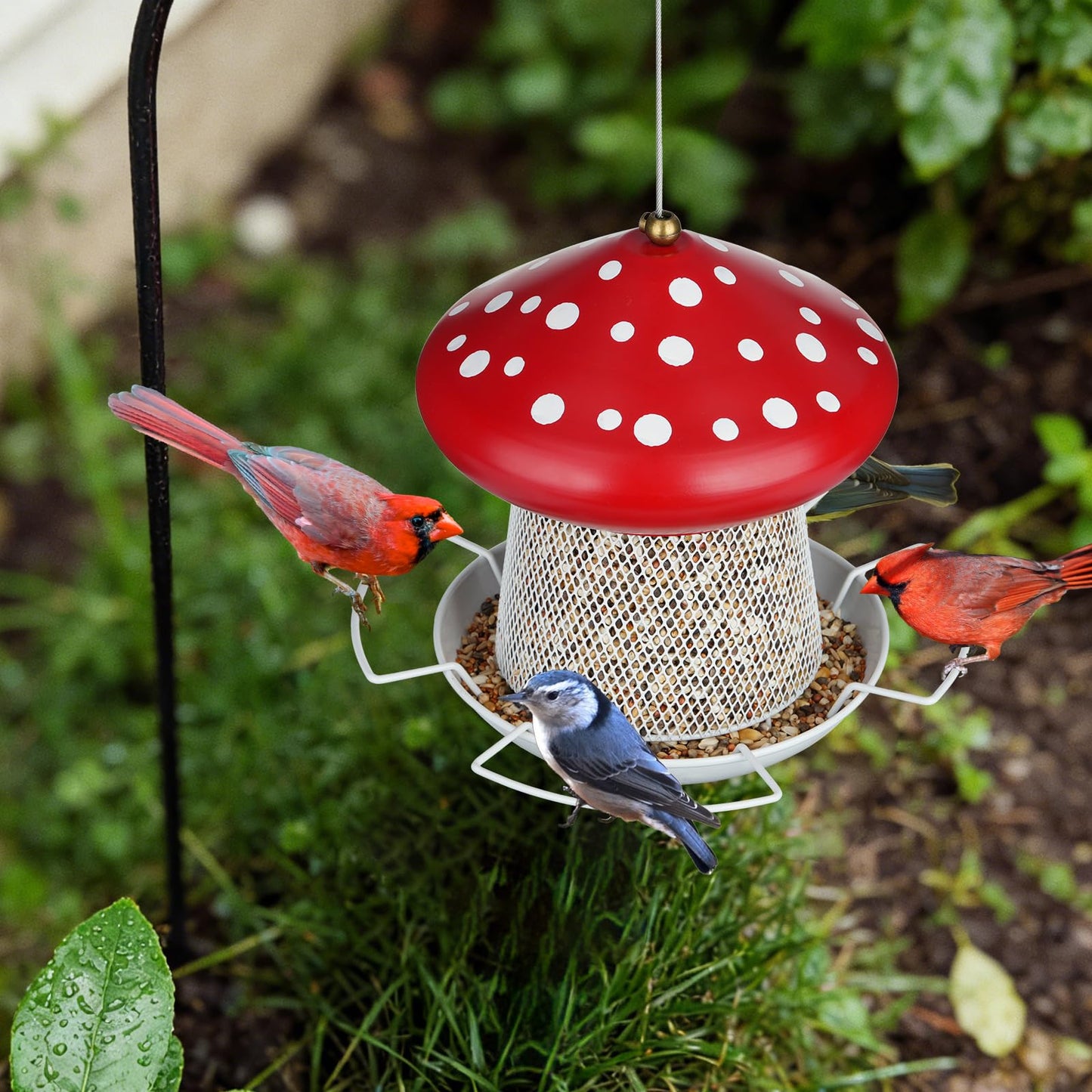 IWNTWY Bird Feeder, Heavy Duty Metal Bird Feeders for Outdoor Hanging, Cute Mushroom Shape Wild Birdfeeder for Outside Garden Yard (Red)