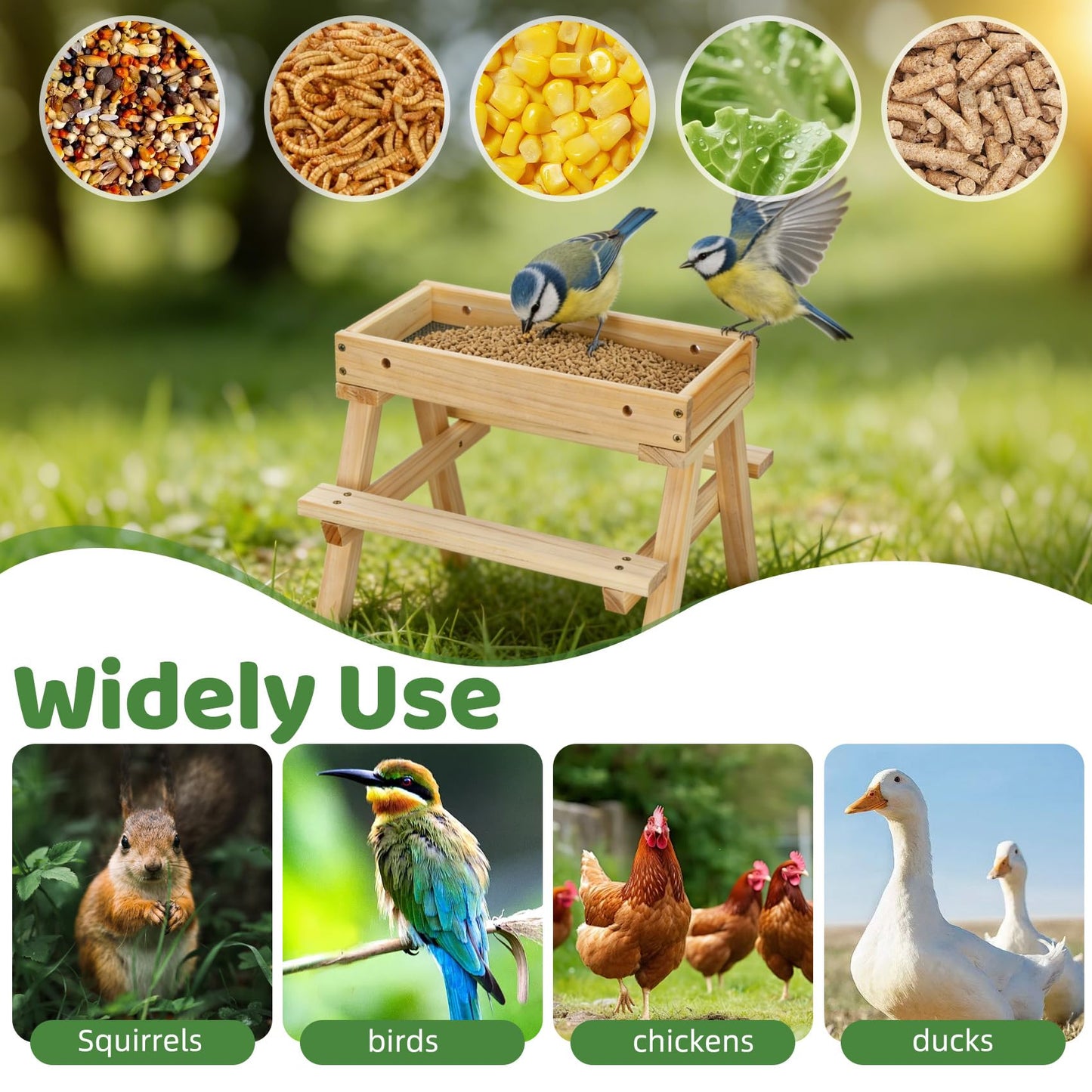 Squirrel Picnic Table Feeder, DIY Wood Building Kits with Paint Set,for Wild Birds, Chickens, Ducks, Squirrels & Other Poultry, Build Your Own Bird Feeder