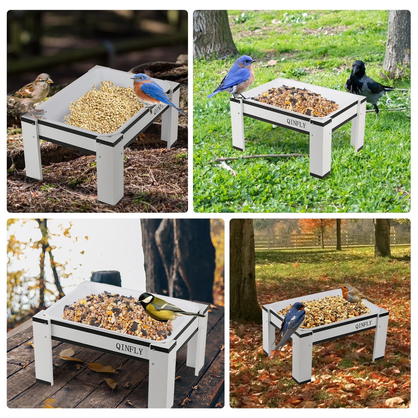 Qinfly Chicken Feeder or Waterer Kit,Ground Wooden Platform Feeders with Removable Plastic Tray for Wild Bird,Bluebird,Chicken