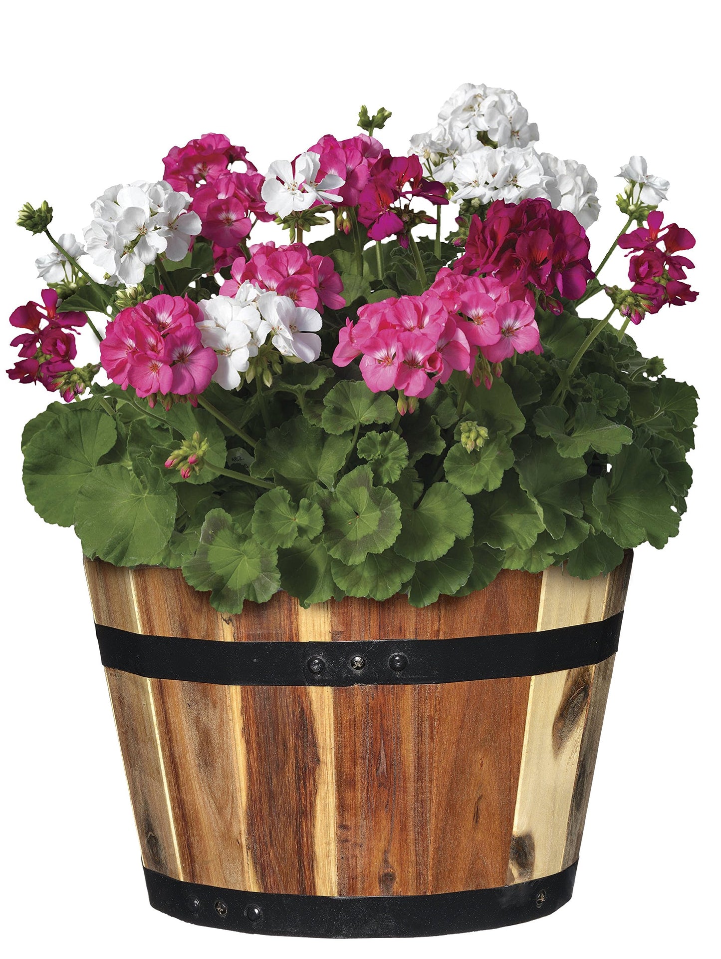 Classic Home and Garden by Growscape 5/800/3 Wood Barrel Set of 3 Planters, Acacia