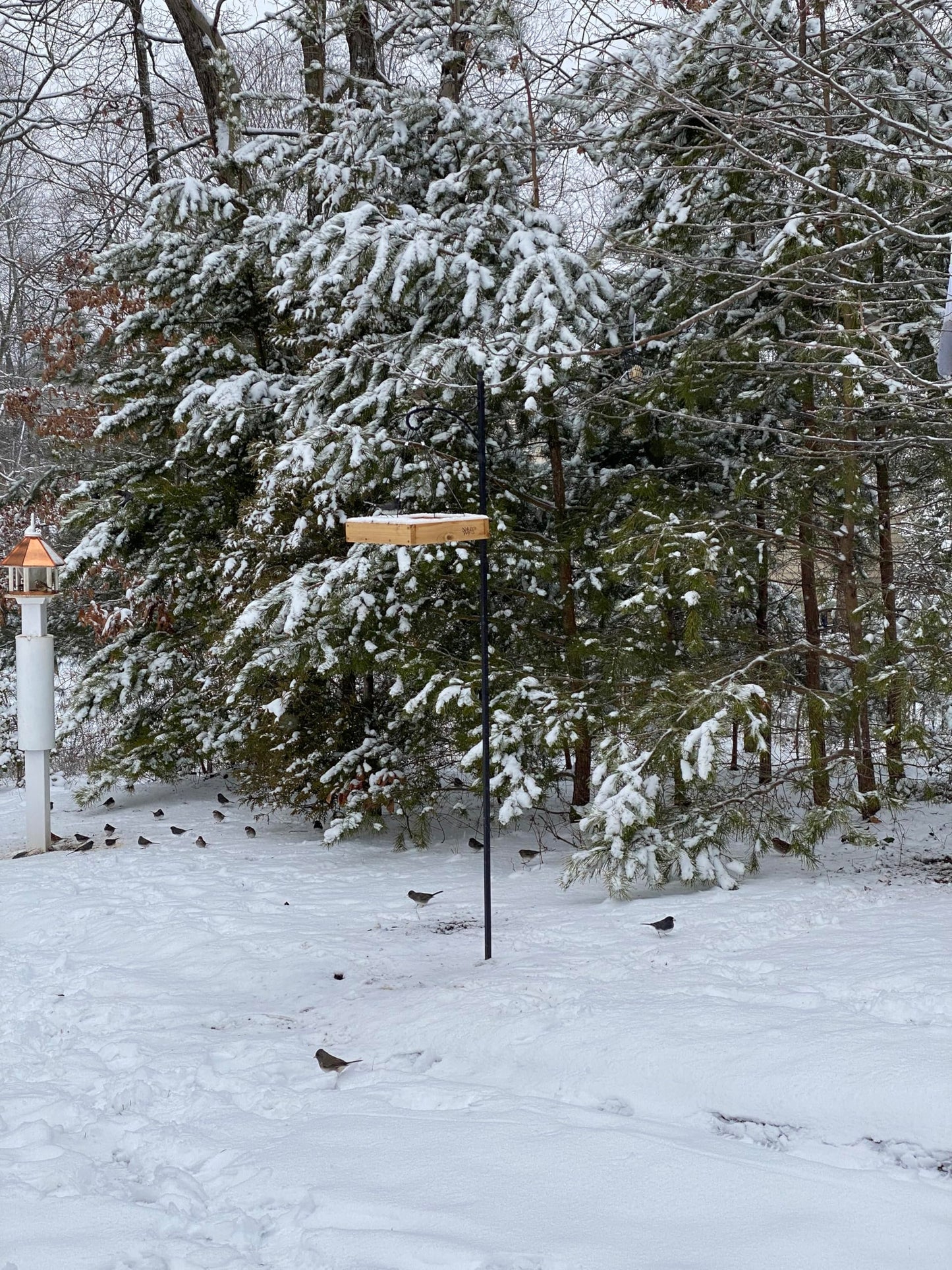 Rocky Mountain Goods Wood Bird Feeder Tray for Outside - 12" Hanging Platform Feeder for Cardinals, Jays - Universal Seed Tray with Drainage - Easy to Fill & Clean - Durable Pine + Rust-Free Hardware
