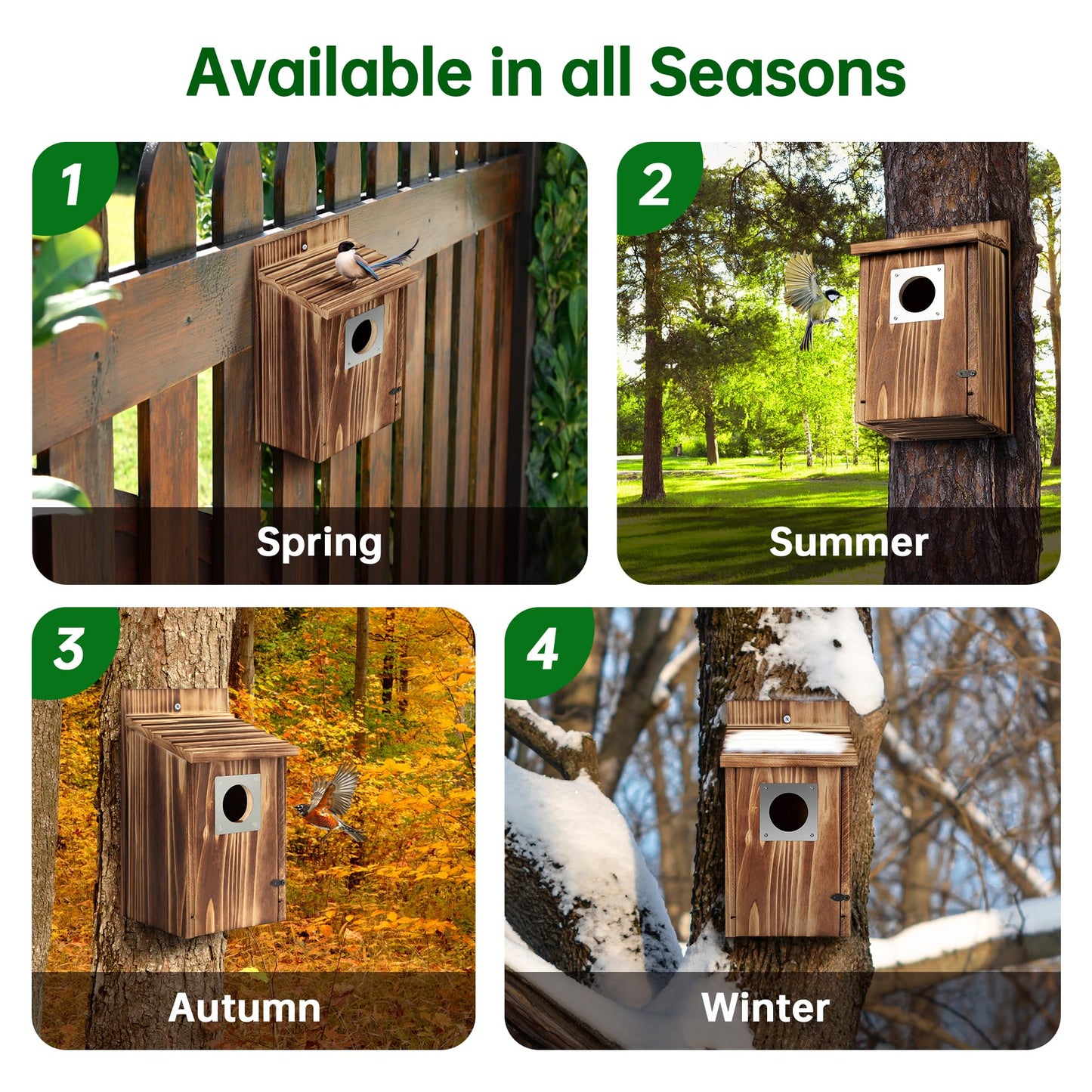 2 Pack Bird Houses for Outside with Metal Predator Guard for Bluebird Wren Swallow Finch, Carbonized Wooden Nesting Boxes for Outdoor, Sturdy Bird House,Easy to Clean