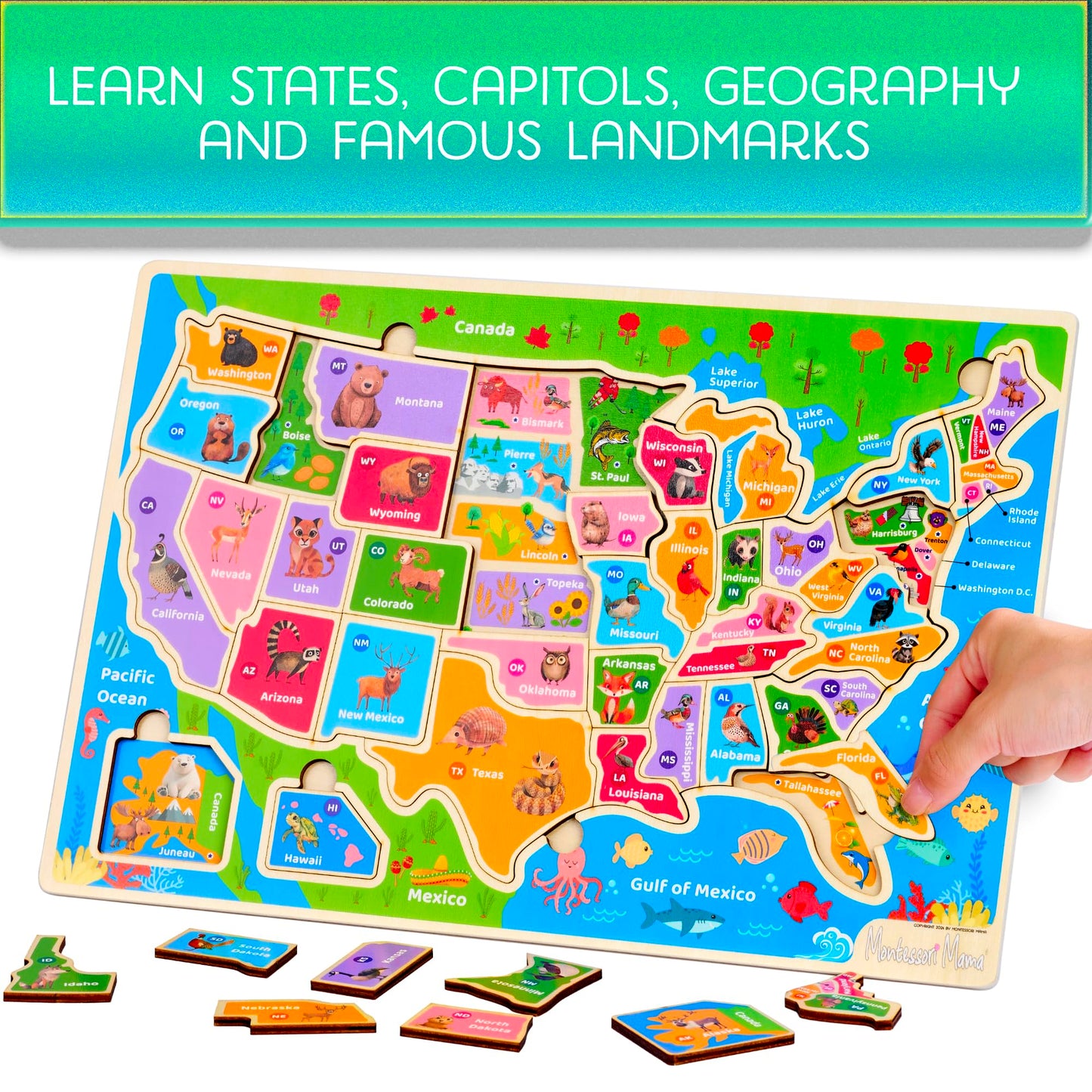 Montessori Mama Wooden Puzzles for Kids Ages 4-6, USA States and Capitols, World Continents and Oceans, Combo Set 2 Toddler Puzzles