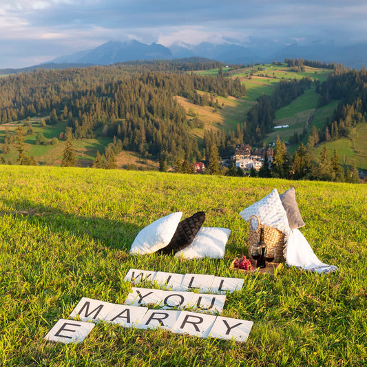 Will You Marry Me Sign Oversized Wood Tiles for Wedding Proposal Decorations- 13 Letters for Indoor and Outdoor Use