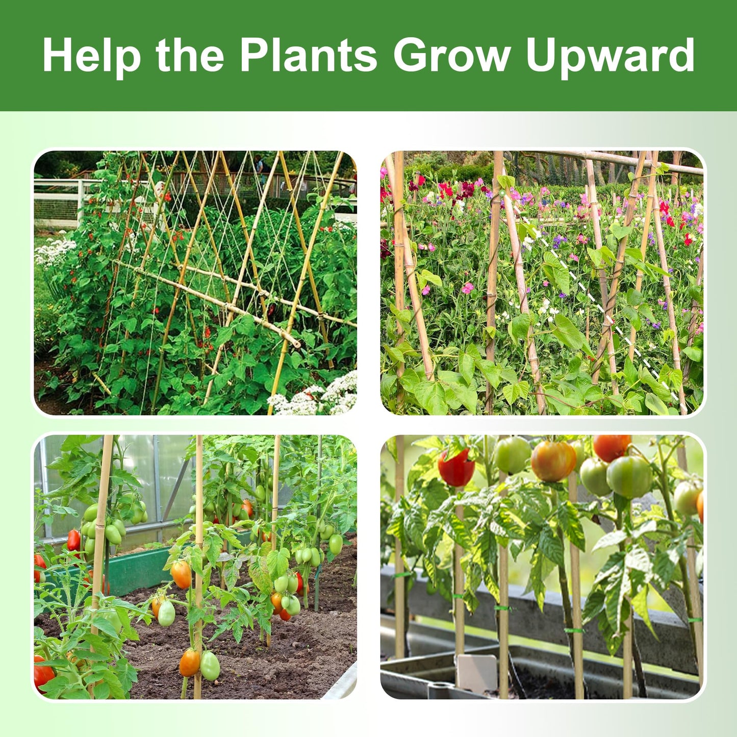 Garden Stakes 4ft, Natural Bamboo Stakes 4 Feet, Thicker Sturdy Plant Stakes 25 Pack for Tomatoes, Beans, Flowers, Potted and More Climbing Plants