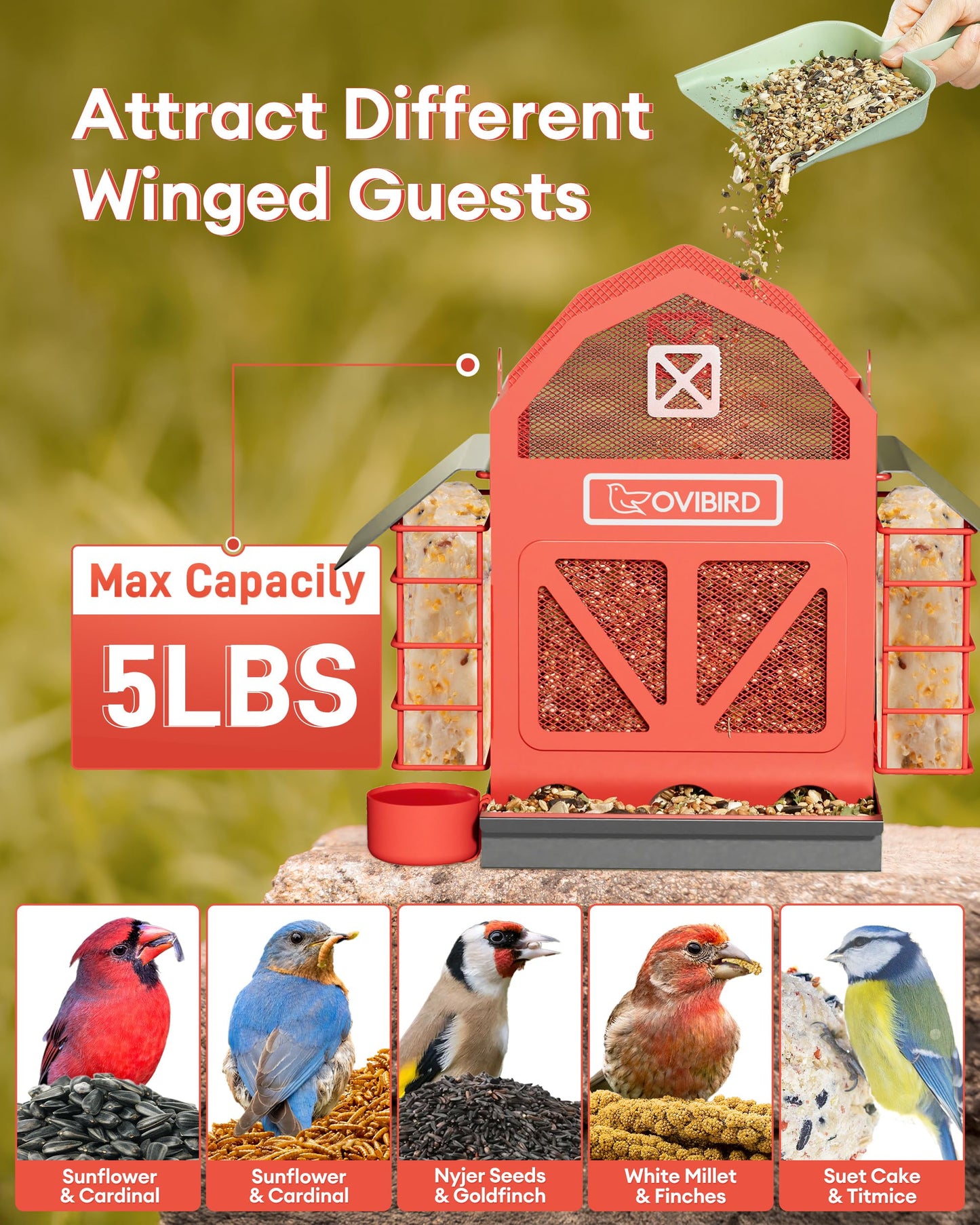 Bird Feeders for Outdoors Hanging, 5LBS Large Bird Feeder with 2 Suet Cage, Red Barn Metal Birds Feeder for Outside, Weather Resistant Cardinal Feeders, ldeal Birds Watching Gifts (Red)